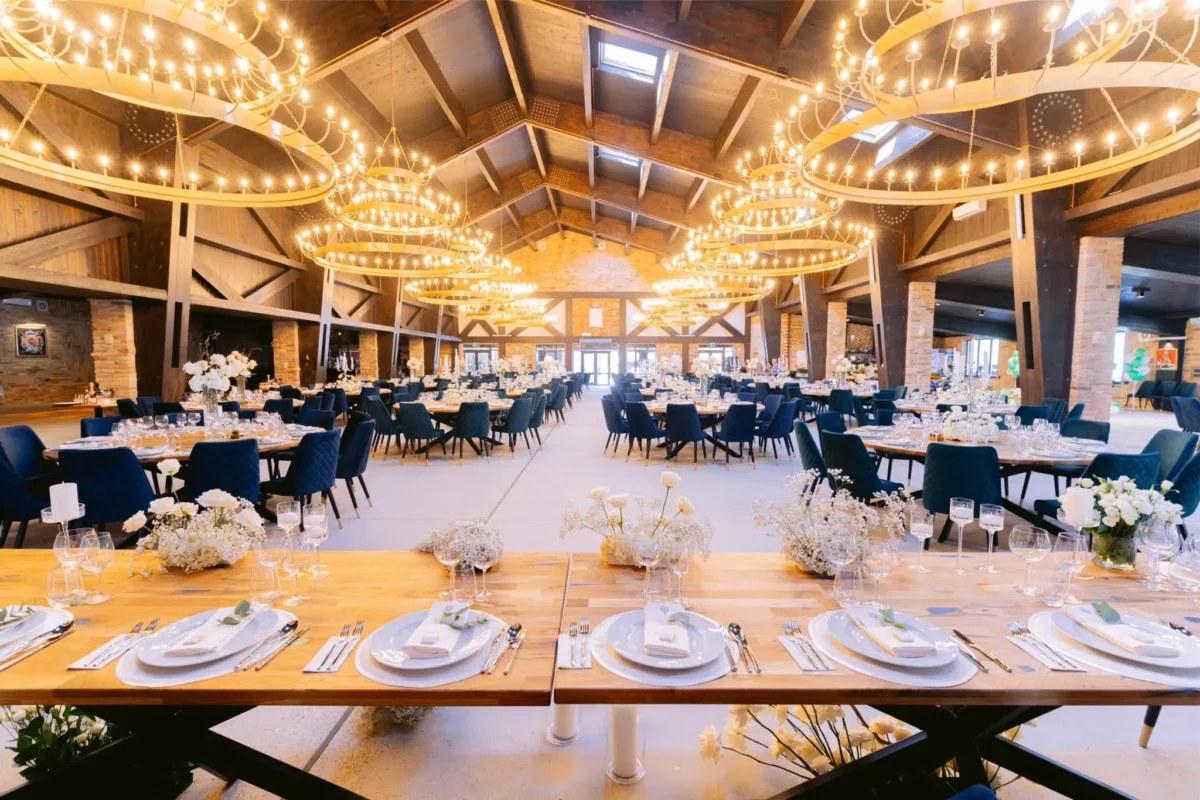 Sala de nuntă — Petrecerea